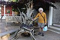 IMG_3519.JPG