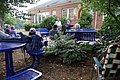 IMG_4334.JPG