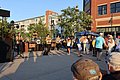 IMG_4398.JPG