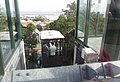 IMG_5513.JPG