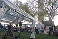 IMG_5574.JPG