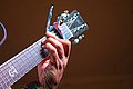 IMG_7348.JPG