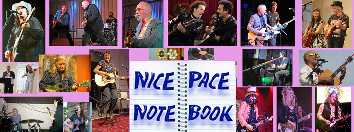 NicePace NoteBook